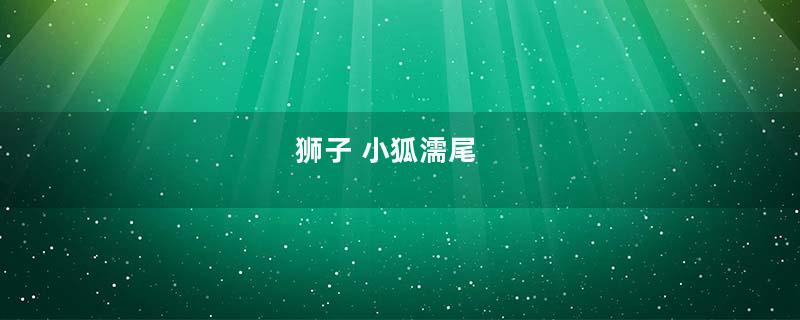狮子 小狐濡尾